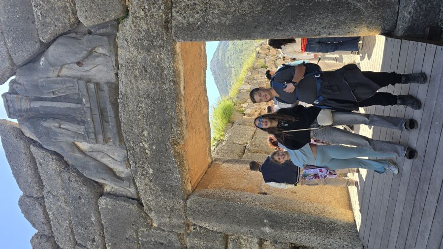 שער האריות, מיקנה